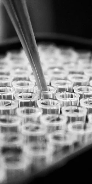 Image of pipette tubes being filled