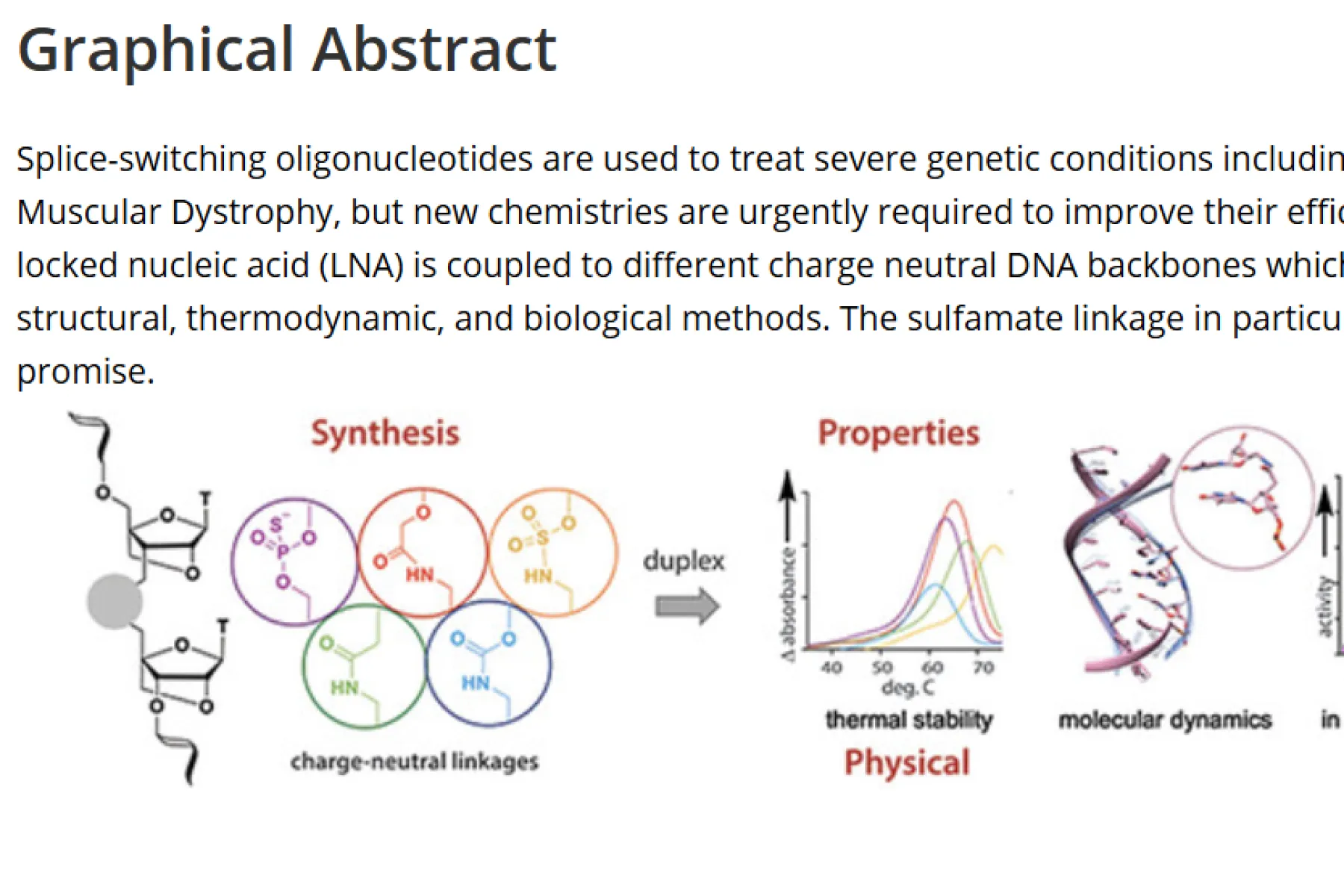 Thumbnail of graphical abstract from paper