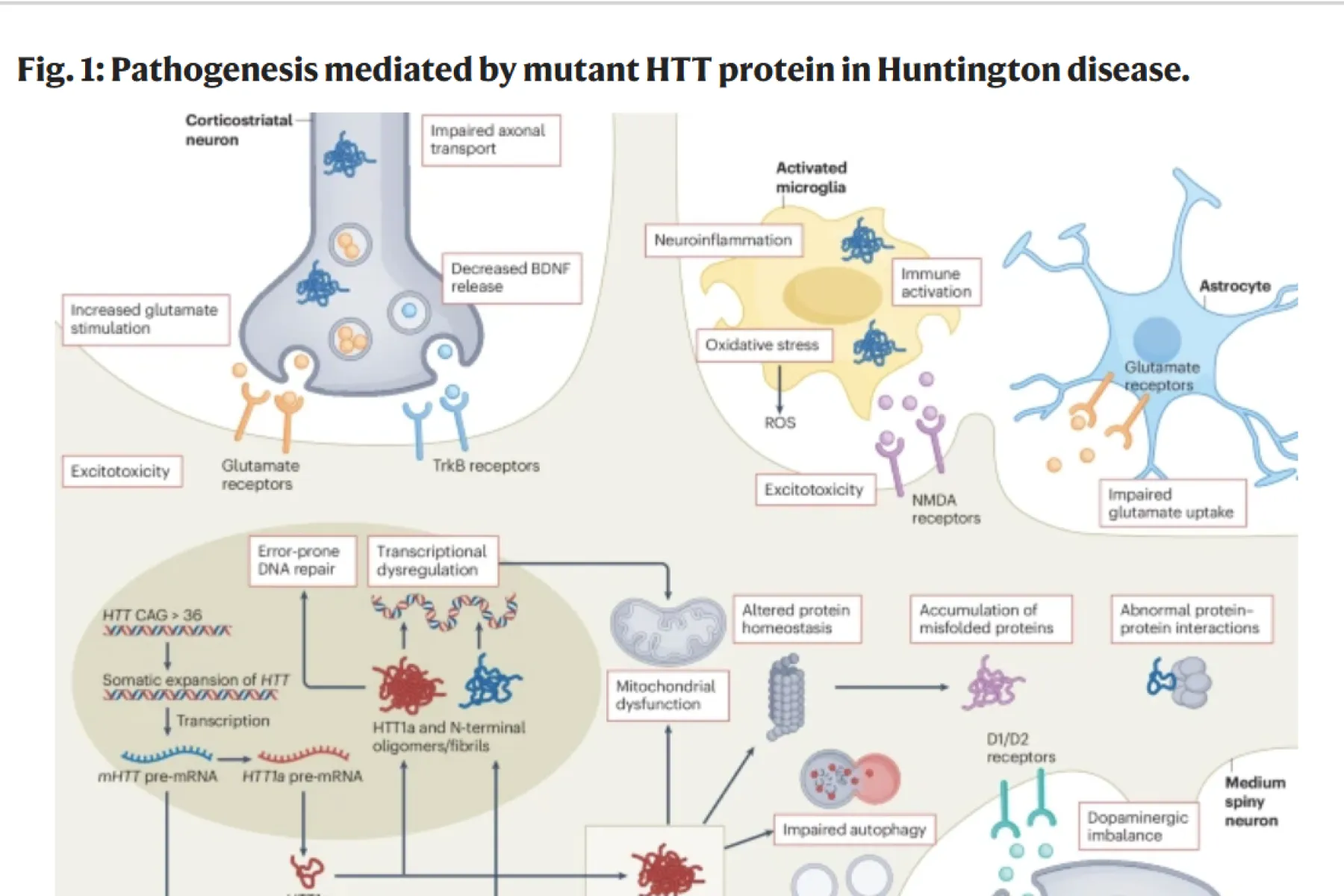 Thumbnail of figure from paper