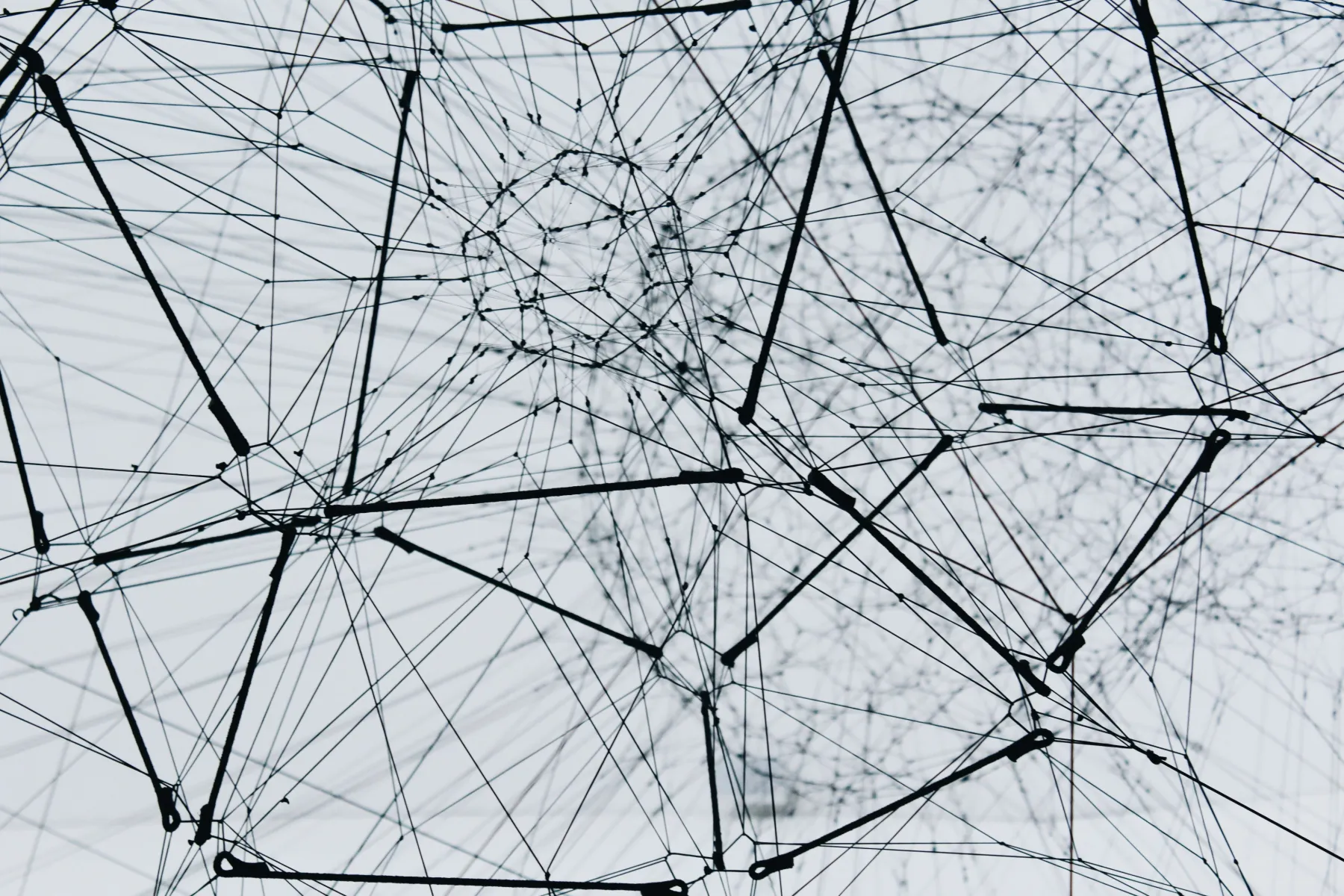 Picture of a net