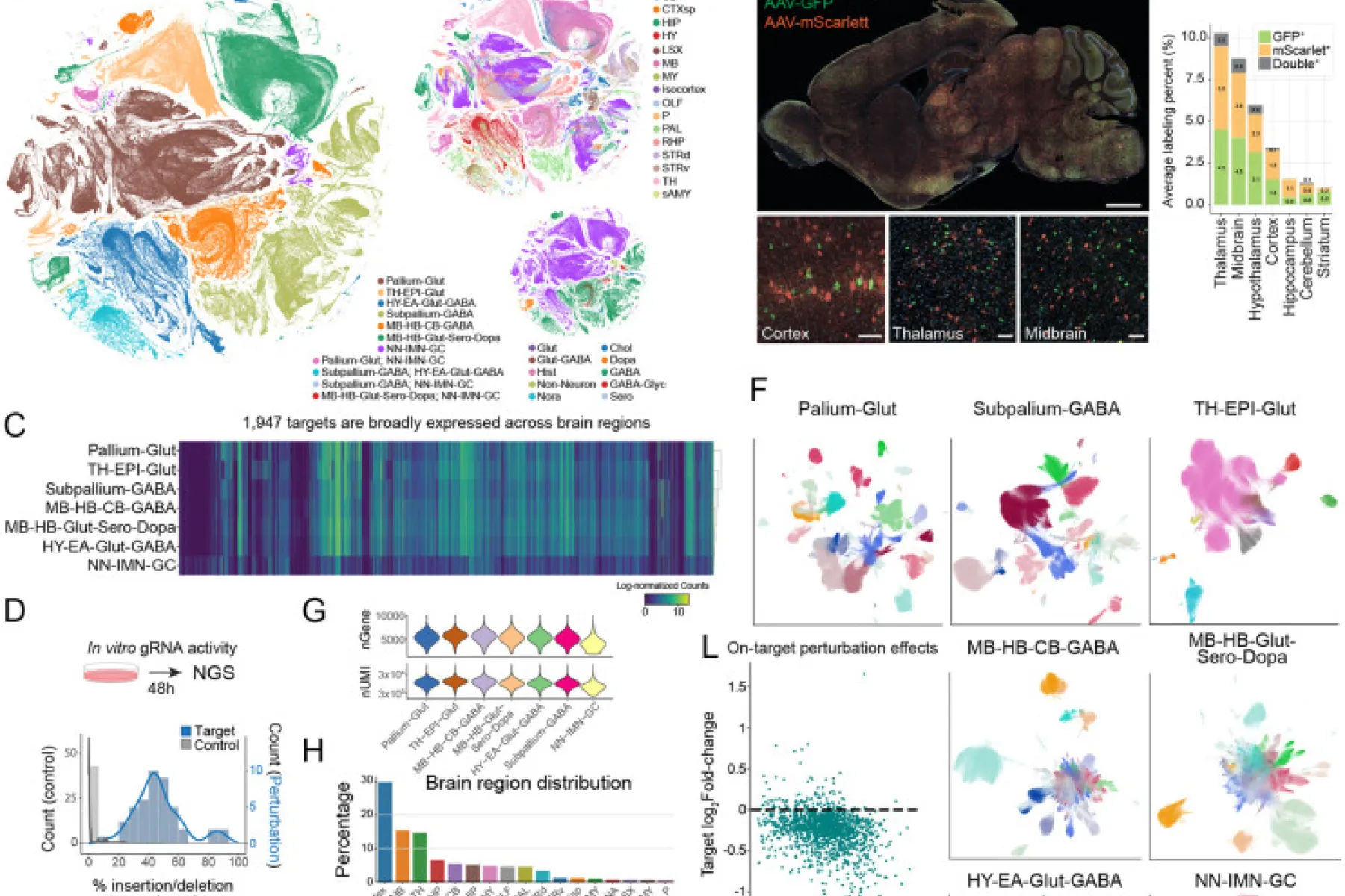 Figure 1 from the paper
