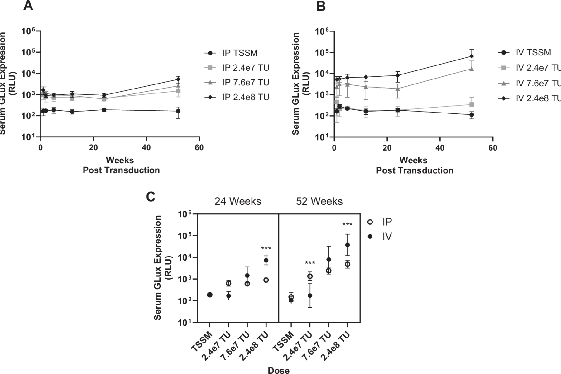 Serum Gaussia luciferase (GLux) expression over 12 months following a single dose of rSIV.F/HN.