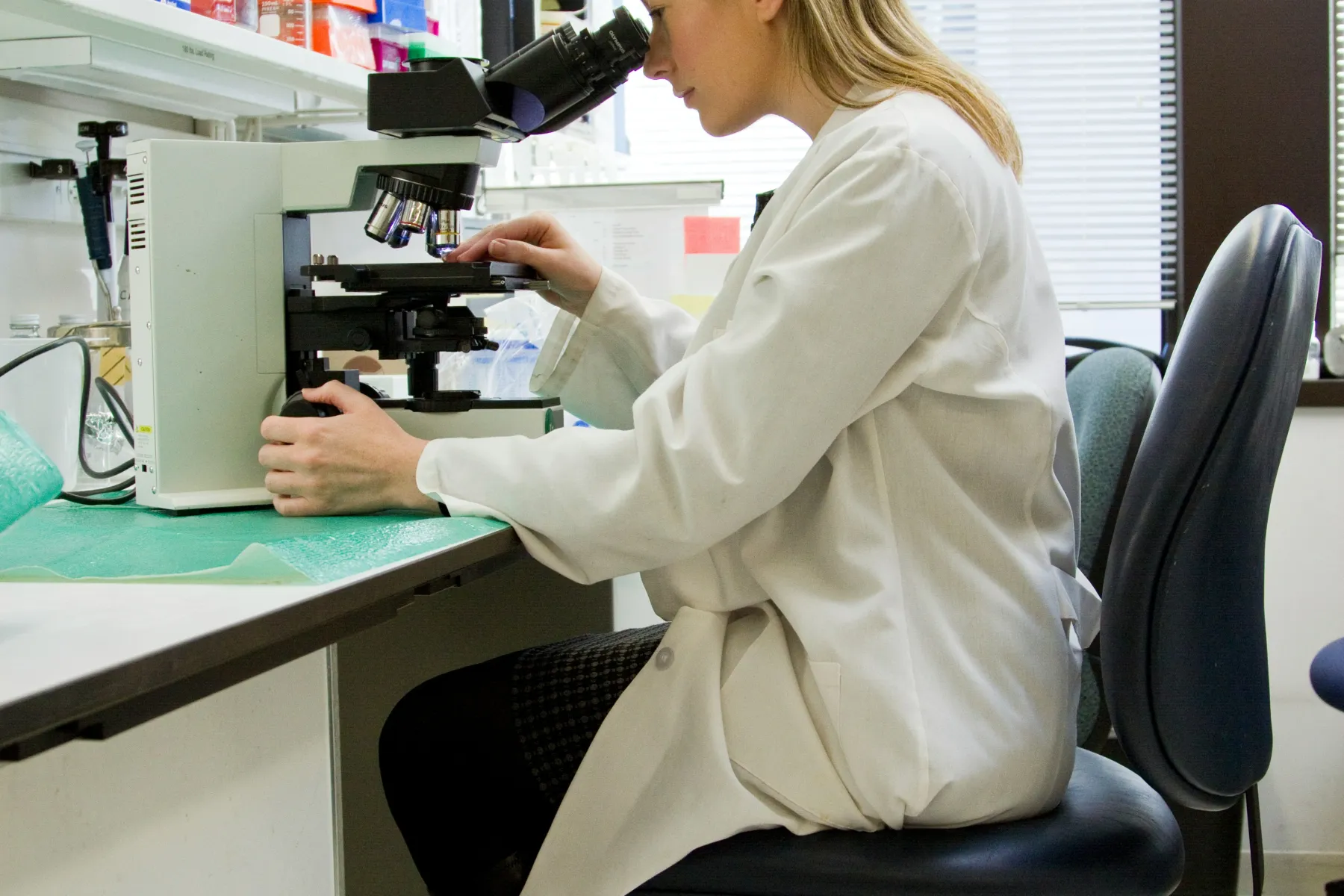 lab work