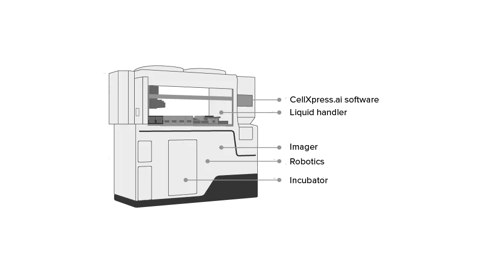 CellXpress.ai schematic