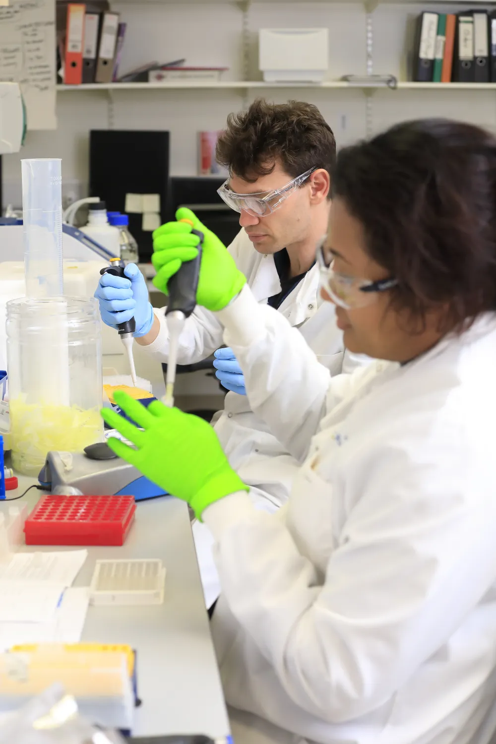 lab